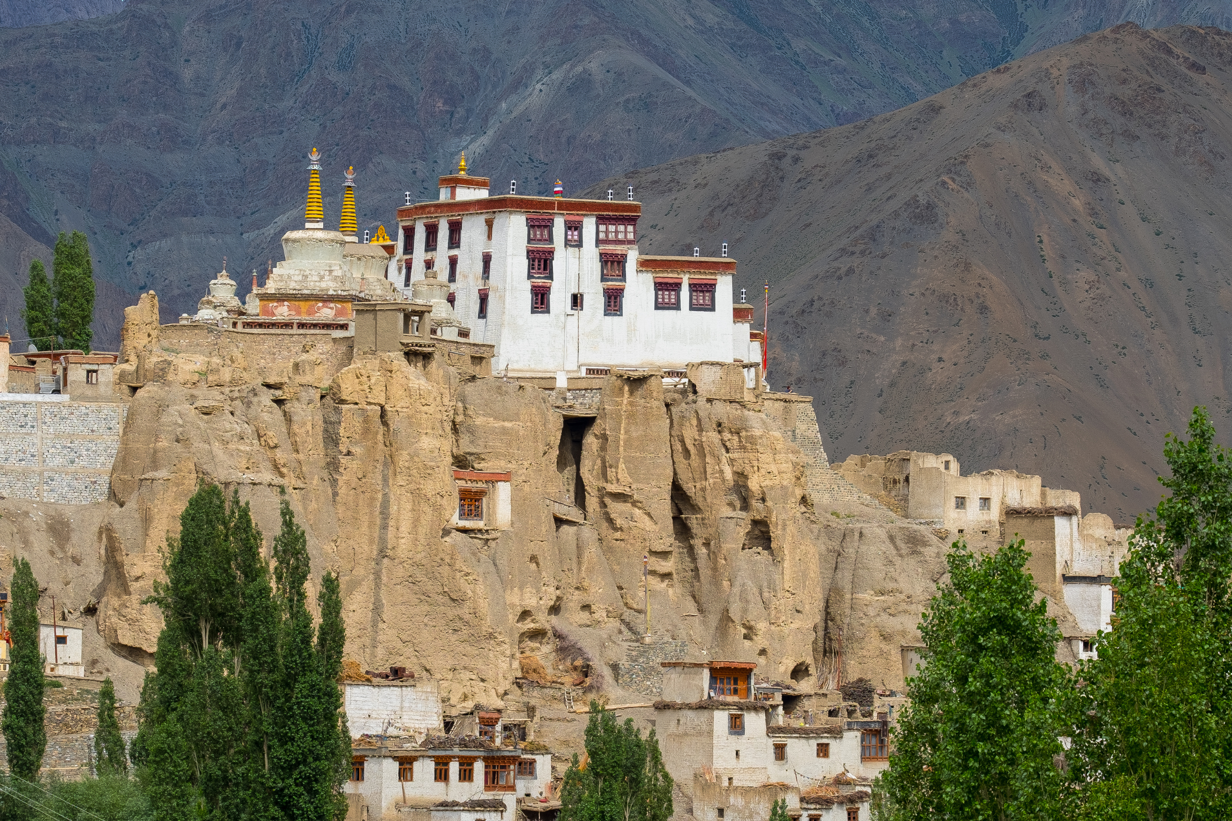 leh (2).webp